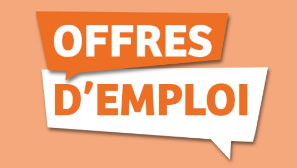 Offres d'emploi